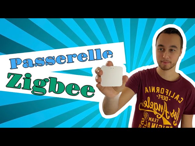 Comment construire une passerelle Zigbee DIY - DusunIdO