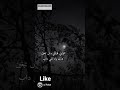 اغنية قوليلي قوليلي اغنية قوليلي قوليلي