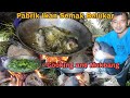 Pabrik Ikan Semak Belukar! cooking and Mukbang