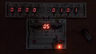 Celebrity Two-Digit Counter with BCD (Count Up & Count Down) Net Worth