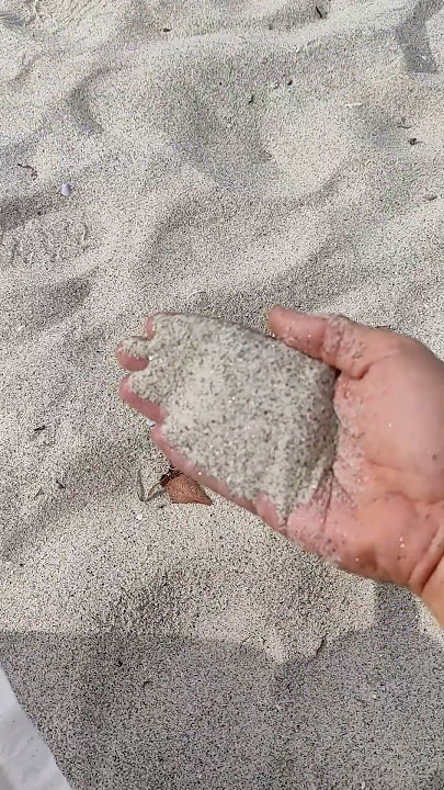 Apakah Pasir Pantai Cocok Buat Media Dasar Aquarium?