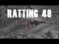 Ratting 48