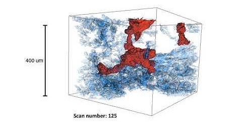 Intermittent fluid flow of gas and brine (zoom in) for steady-state flow in a carbonate rock.