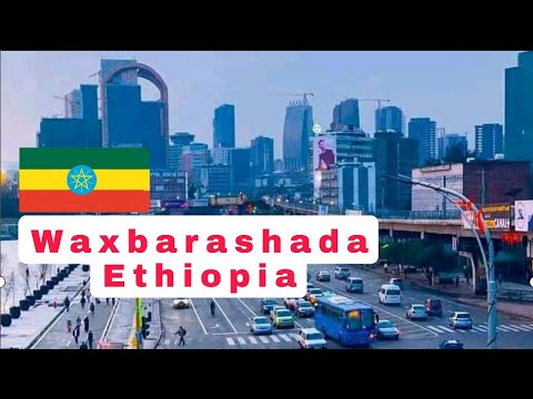 Waxbarashada Dalka Ethiopia// Jamacadaha & Dugsiyadda//  Ethiopia Education System.