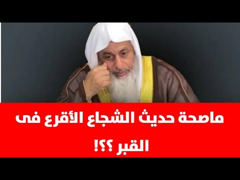ماصحة حديث الشجاع الأقرع فى القبر الشيخ مصطفى العدوي