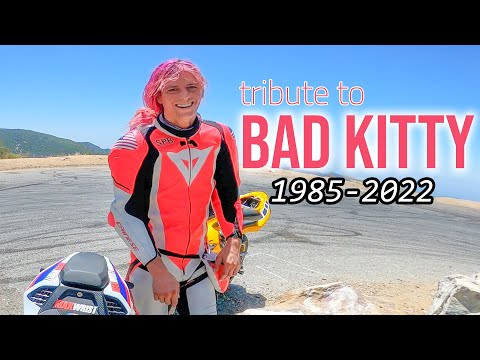 RIP Bad Kitty, A tribute by @maxwrist