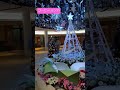 コーヒー·ルンバ 大阪 泉の広場 #shorts