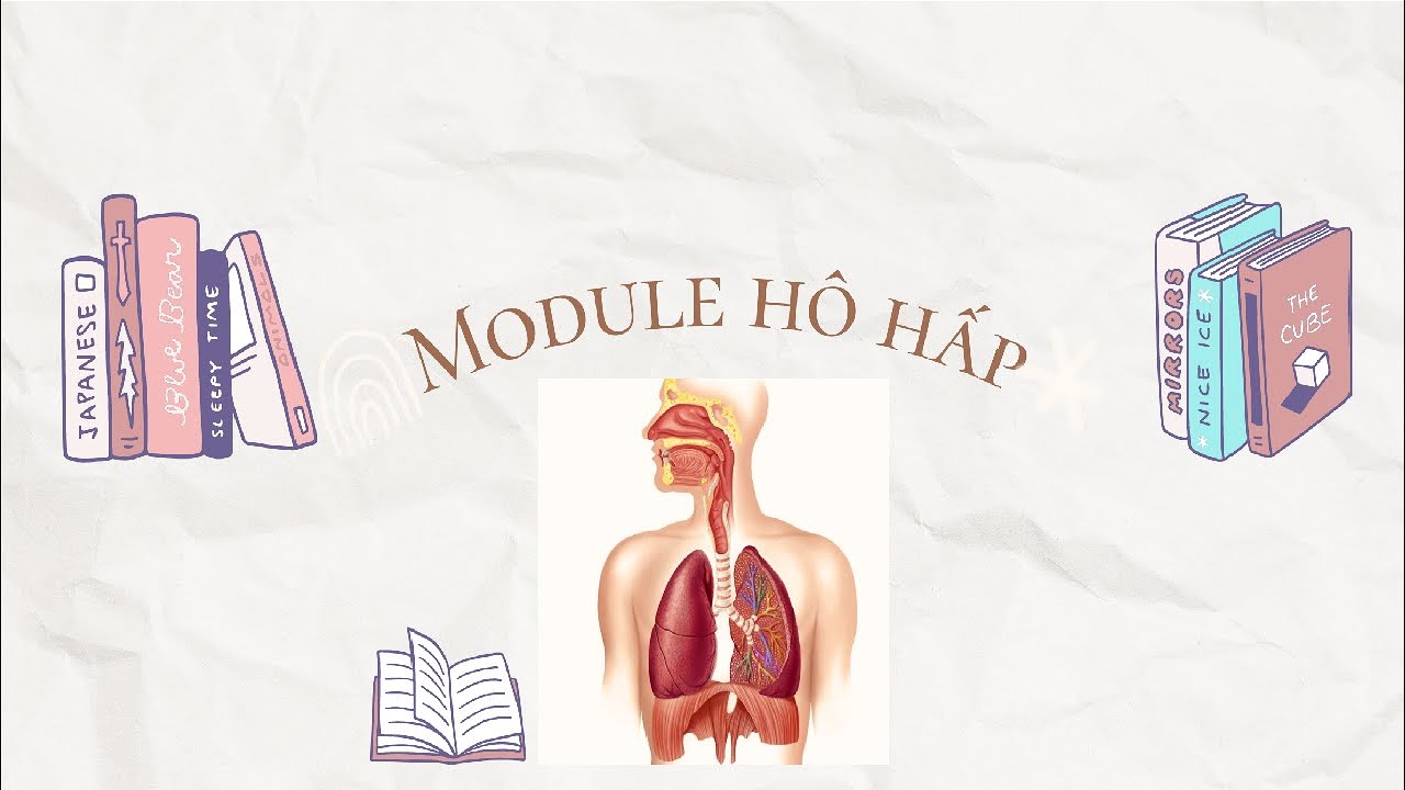 Module hô hấp: ( Sinh lý ) Đại cương về sinh lý hệ hô hấp - Phần 3