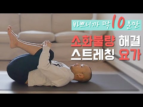 소화를 원활하게 해주는 요가(소화불량 · 소화장애) | 10분 요가 시리즈 | 요가소년 073