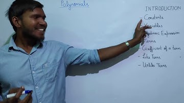 Polynomials - Introduction | Constants, Variables, Algebraic expression  - Class 9 | Part 0