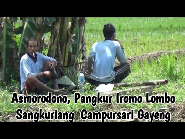 Asmorondono, Pangkur Iromo Lombo, Joko Mlarat Gending Campursari Gayeng Sangkuriang Tombo Sayah class=