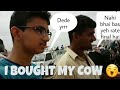 FINALLY !!! I BOUGHT MY COW ._. EID UL ADHA 2017 ! FUNNY BARGAIN 😄