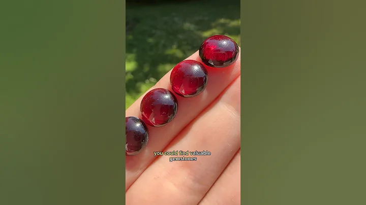 Ants could help you find gemstones! 💎🐜