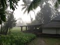    kokan  monsoon  travel