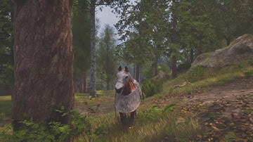 Oblivion Remastered Deep Playthrough 20 Zero HUD Max Gfx Max Difficulty