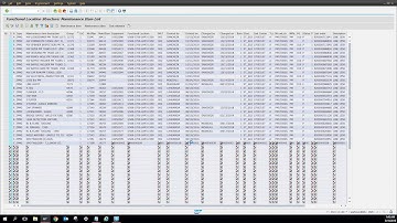 SAP - IH01 - Looking Up Maintenance Plan on Equipment or Line