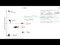Understanding Negative Numbers and Rational Numbers
