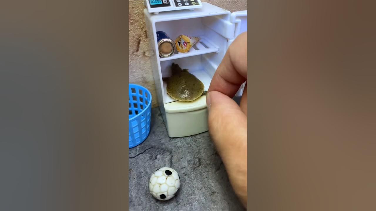 😱 CAUGHT by MOM in My Turtle Shell?! 🐢💥🛁 #shorts #cartoon 😱 CAUGHT by MOM in My Turtle Shell?! 🐢💥🛁 #shorts #cartoon
