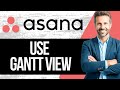 How to Use Gantt View in Asana