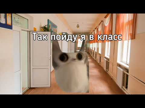 Сезон 5 Pov