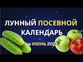 Благоприятные дни для посева: лунный календарь огородника на Июнь 2023