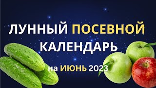 Благоприятные дни для посева: лунный календарь огородника на Июнь 2023