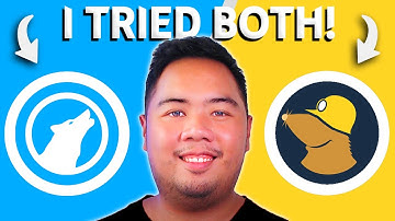 Librewolf vs Mullvad (2025) - Which One Is BETTER?