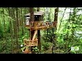 Behind the Build: Nelson Family Treehouse Behind the Build: Nelson Family Treehouse