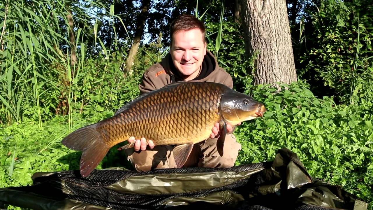**CARP FISHING** - Dean Watson Diary blogs - ''TIGER-TIGER'' summer 2016