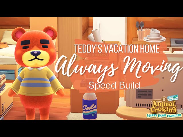 Home  T3Ddy