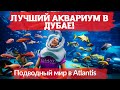 Как бесплатно увидеть Аквариум в Atlantis.🐟 Dubai