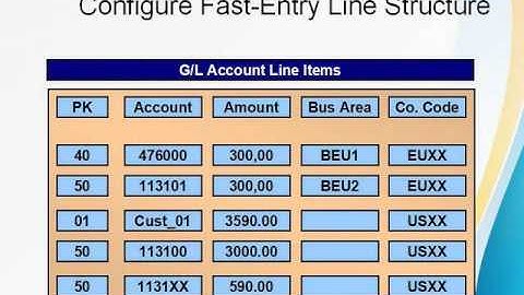 SAP FICO Line Item Configuration