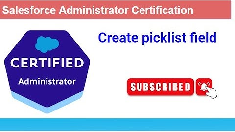 Salesforce Create a Custom Picklist Field
