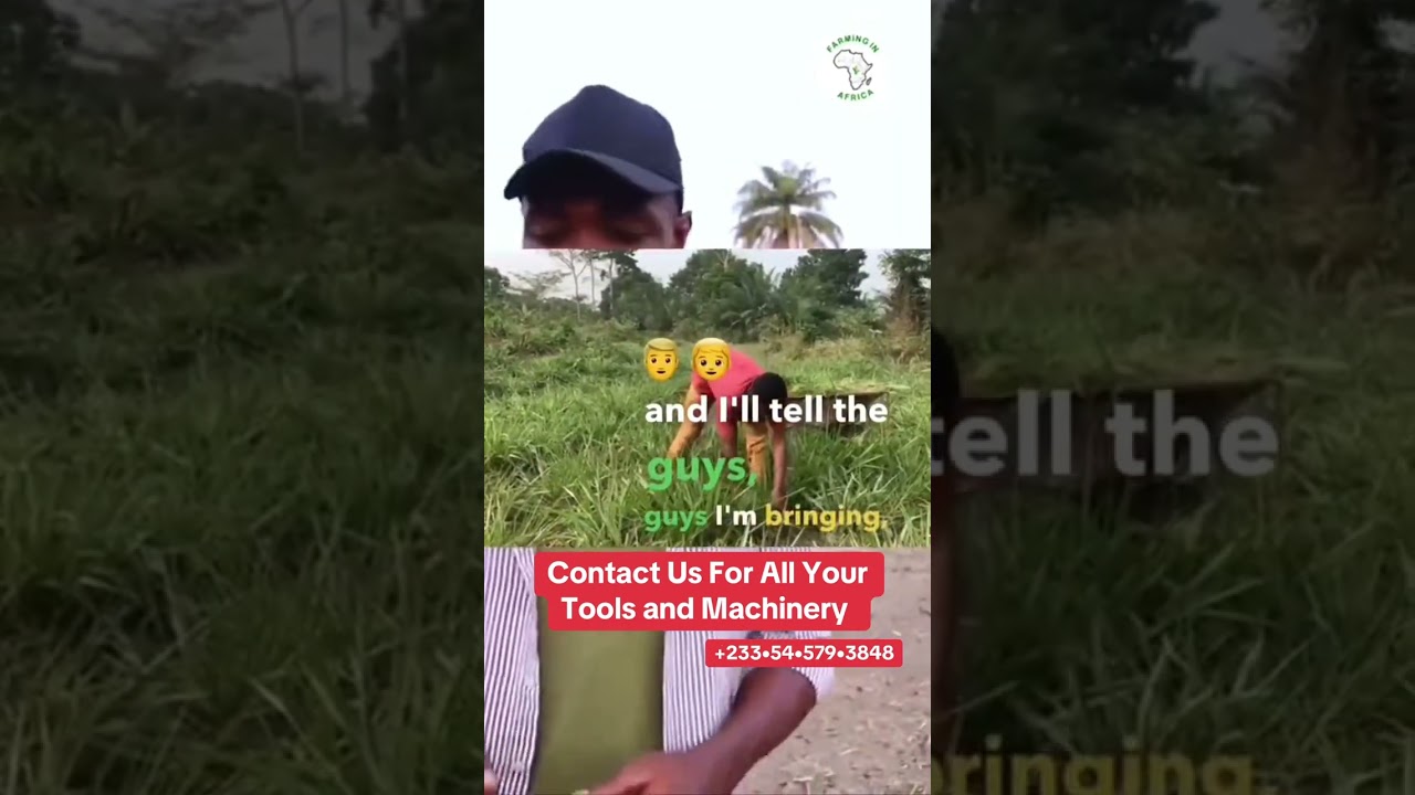 Important Tools and Machinery You Need at Your Farm 