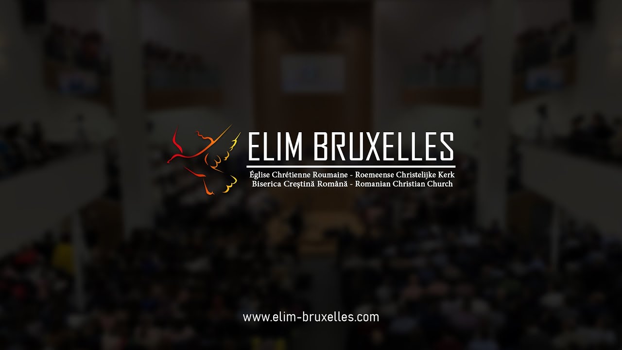 LIVE Elim Bruxelles | 18 Ianuarie 2026 dimineața