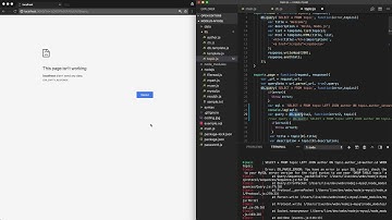 Node.js & MySQL - 20.2.보안 2/2 - SQL Injection