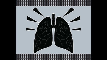 Servo - Remember To Breathe (Official Video)