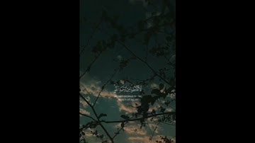 القارئ عبدالرحمن مسعد#quran