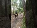 We’ve never gone this fast 😳 *language warning* #horse #horseriding #fast #fun #scary