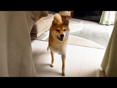 Back to the Q-chan - YouTube