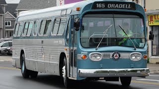 Mostly Old Retired New Look Fishbowl Buses In New Jersey