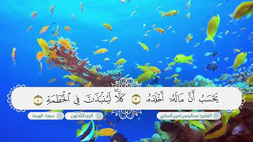 سورة الهمزة بصوت القارئ عبدالرحمن امين الجباري
