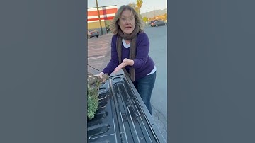 Karen tried to steal my Christmas tree… #shorts