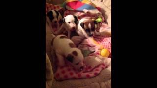 Video Apr 18, 9 10 01 Pm