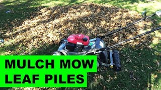 Mulch Mowing Piles of Leaves with the Honda HRX217