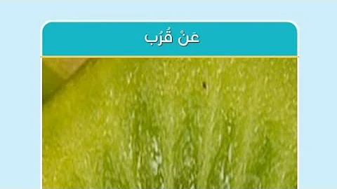 لغز 24 كلمات متقاطعة بريك المجموعة 03 معنى كلمة Plane في اللغة الانجليزية هو من 5 حروف تحميل Download Mp4 Mp3
