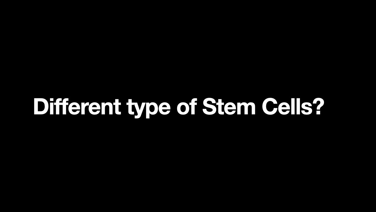 Different Types of Stem Cells 