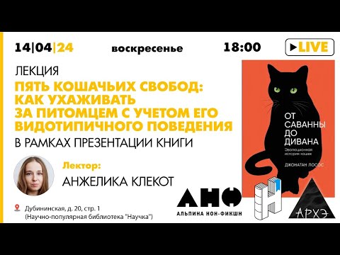 Лекция "Пять кошачьих свобод: как ухаживать за питомцем с учетом его видотипичного поведения" (АНФ)