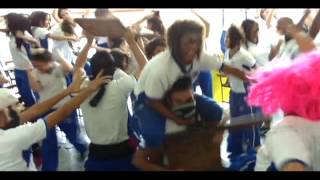 cds harlem shake