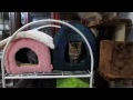 猫ハウス　二段ベッド の動画、YouTube動画。